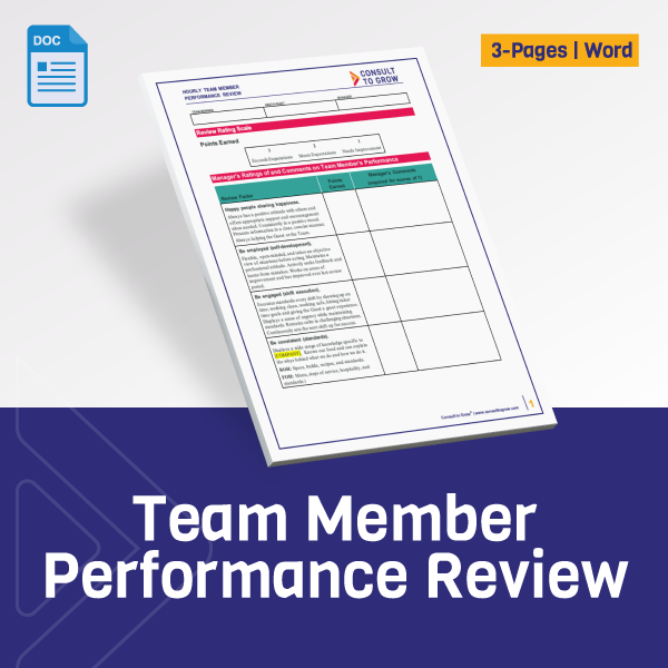 Team Member Performance Review